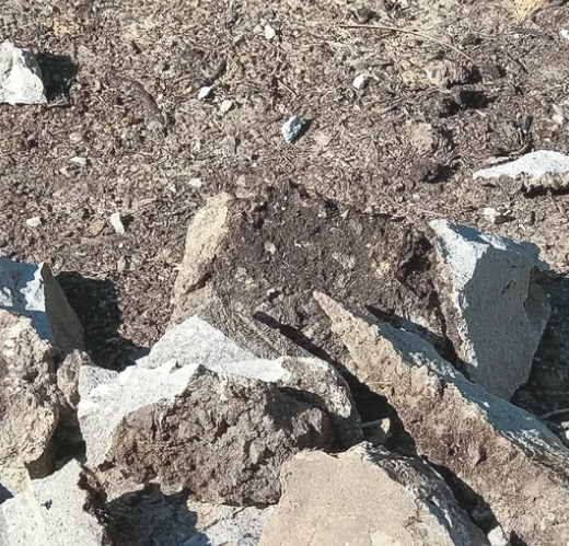 image 2026 02 16 210634088